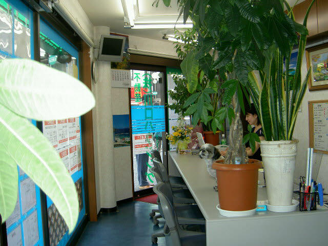 看板犬のワン子がいます。