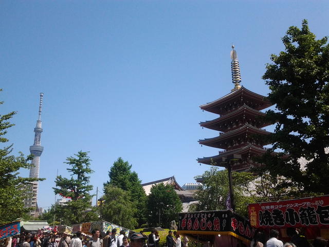 東京・神奈川を中心に活動しております。