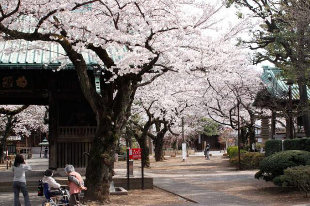 目黒区の祐天寺で１都３県の売買・賃貸を行なっています。