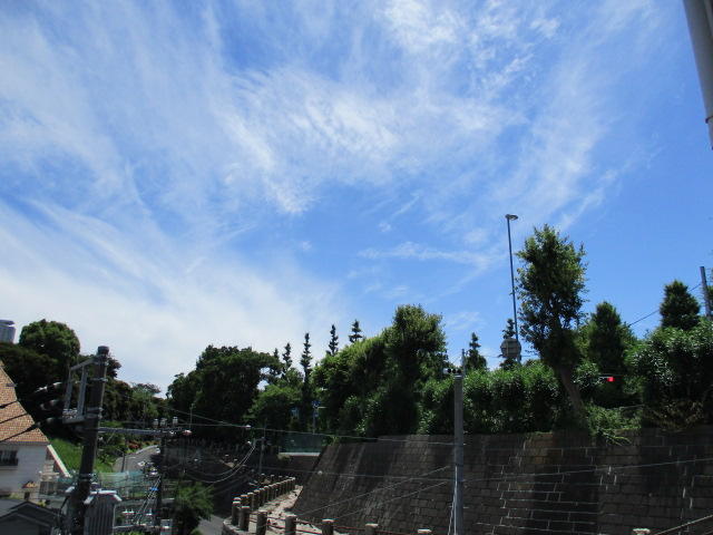 窓からの眺望です。緑の眺望と落ち着いた雰囲気でのおもてなしを心掛けております。