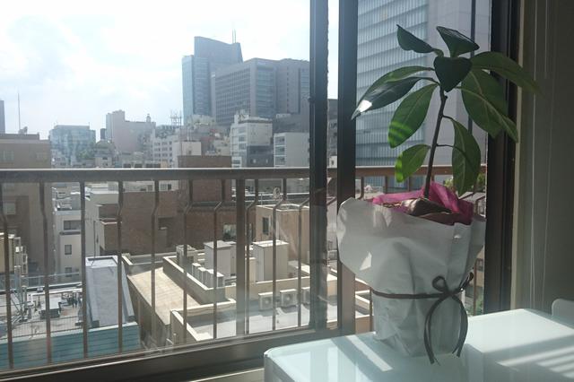 当社オフィスからは南青山エリアが一望できます