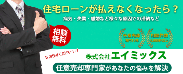 株式会社エイミックス